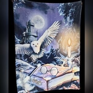 Harry Potter Hedwig Fleece Throw Blanket 60" X 48"